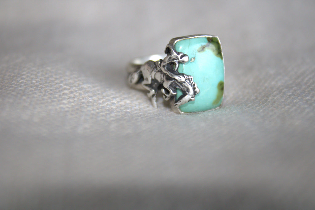 Sonoran Mountain Bronc Ring