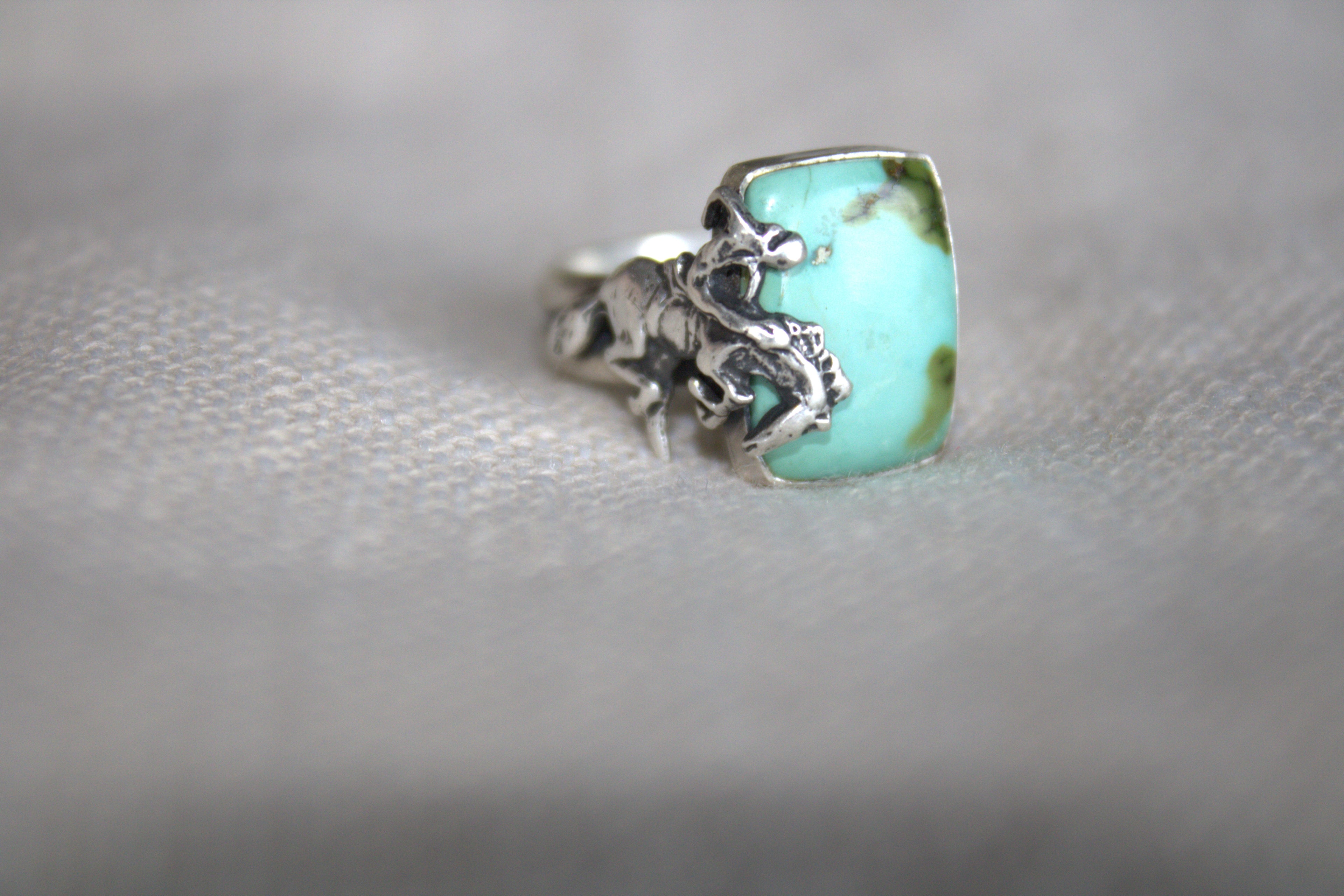 Sonoran Mountain Bronc Ring