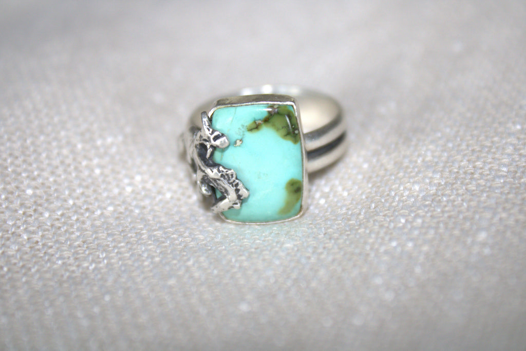 Sonoran Mountain Bronc Ring