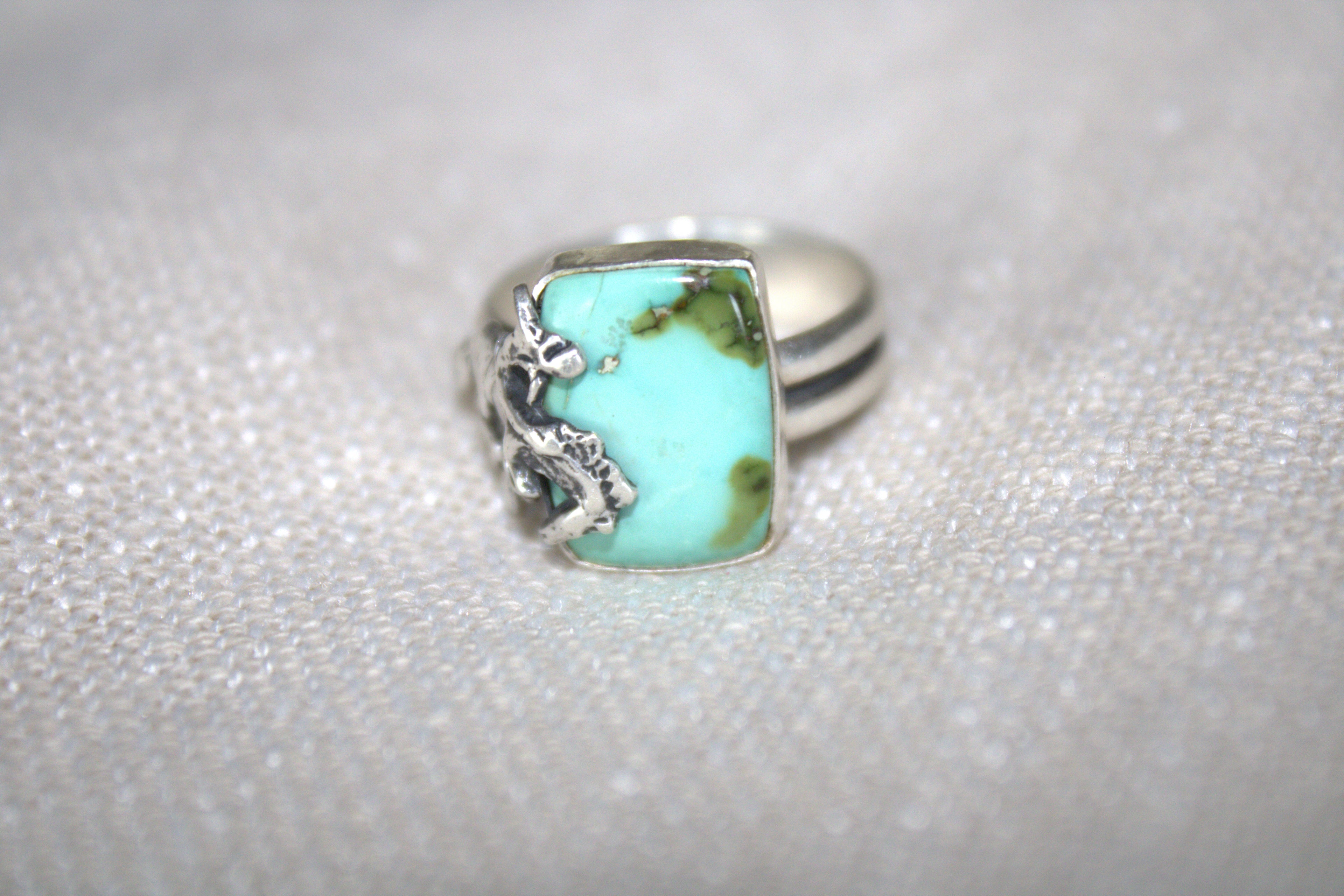 Sonoran Mountain Bronc Ring