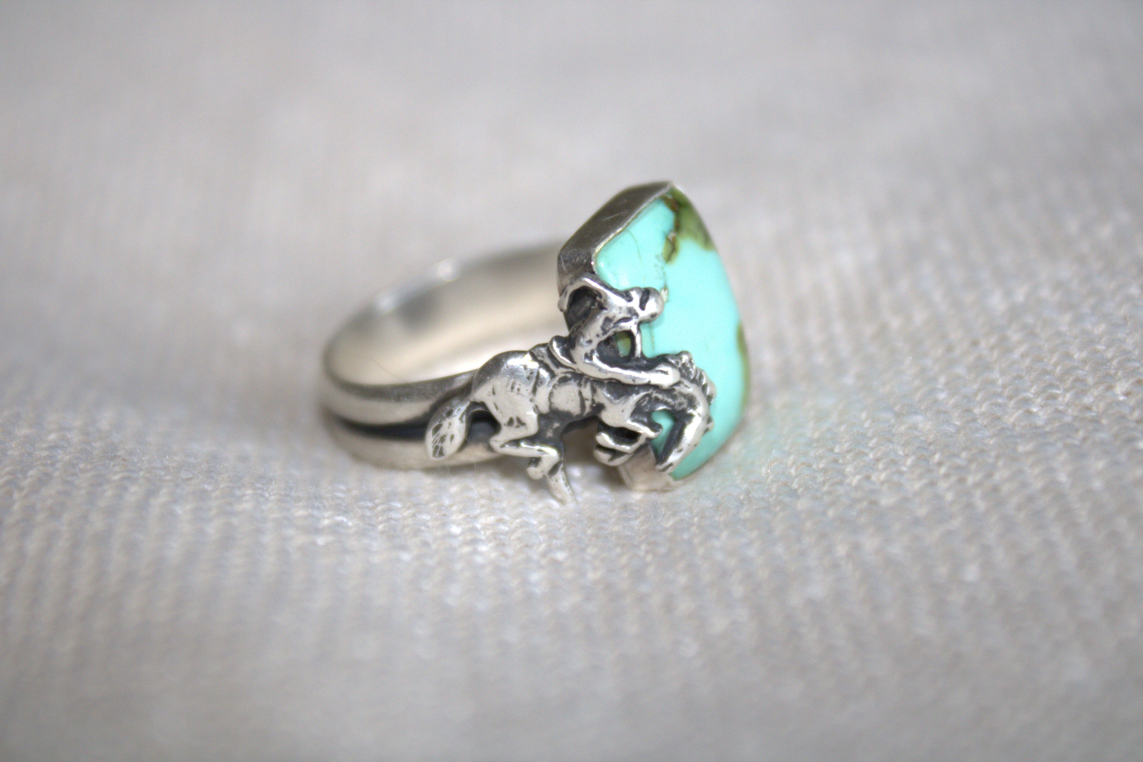 Sonoran Mountain Bronc Ring